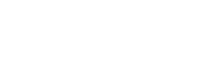 THE CONCEPT O CONCEITO